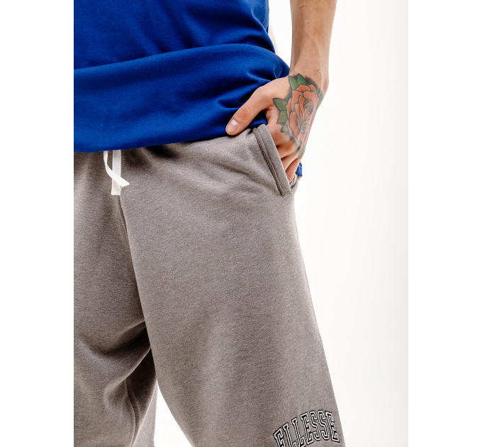 Чоловічі Шорти Ellesse Tems Short Сірий S (7dSHV20029-112 S)