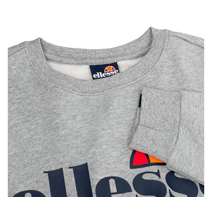Чоловічий Світшот Ellesse SL Succiso Sweatshirt Сірий L (7dSHC07930-112 L)