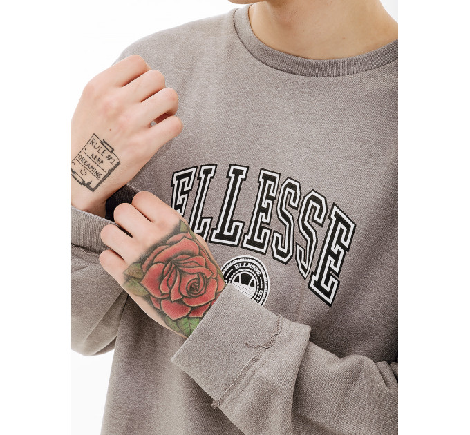 Чоловічий Світшот Ellesse Vivar Sweatshirt Сірий S (7dSHV20028-112 S)