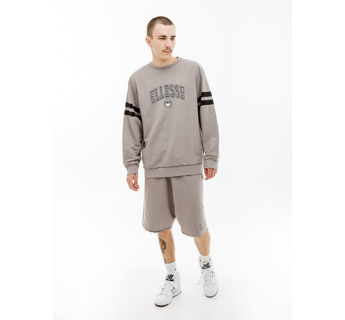 Чоловічий Світшот Ellesse Vivar Sweatshirt Сірий S (7dSHV20028-112 S)