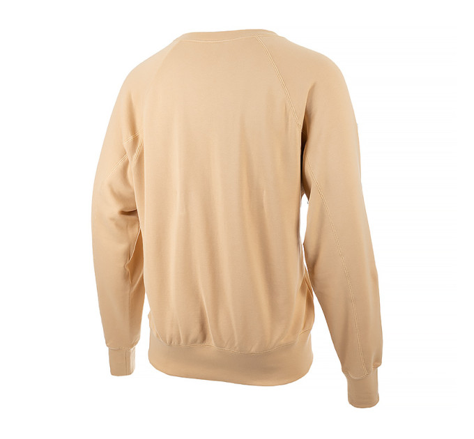 Чоловічий Світшот Nike AIR FT HOODIE Бежевий S (DV9829-252) Чоловічий Світшот Nike AIR FT HOODIE Бежевий S (DV9829-252)