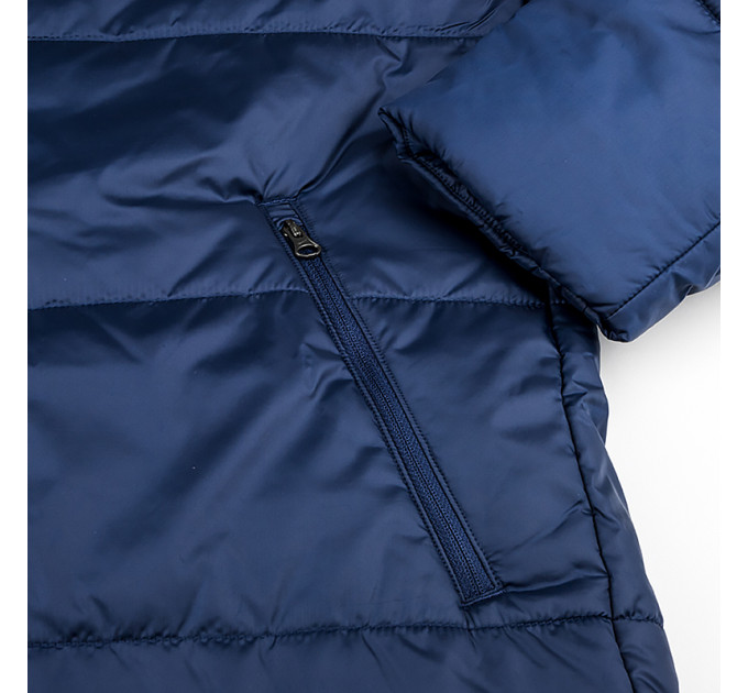 Чоловіча Зимова куртка Nike M NK TF ACDPR24 SDF JACKET Синій L (7dFD7709-451 L)