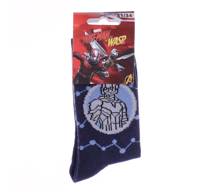 Шкарпетки Marvel Ant-Man Bust In Circle 27-30 blue 83895248-8