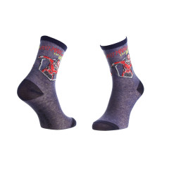 Шкарпетки Marvel Bust Ant-Man 31-34 denim 83895248-4