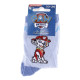 Шкарпетки PAW Patrol Marcus 19-22 blue 43890847-7