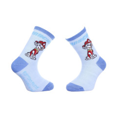 Шкарпетки PAW Patrol Marcus 19-22 blue 43890847-7