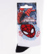 Шкарпетки Marvel Spider Man Head Spiderman Stars 19-22 white 43890147-4