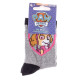 Шкарпетки PAW Patrol Everest 19-22 gray 43891347-6