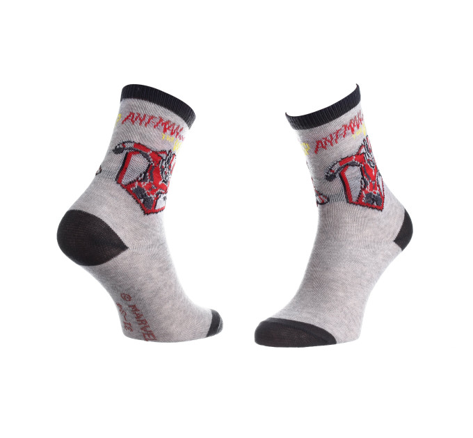 Шкарпетки Marvel Bust Ant-Man 31-34 gray 83895248-3