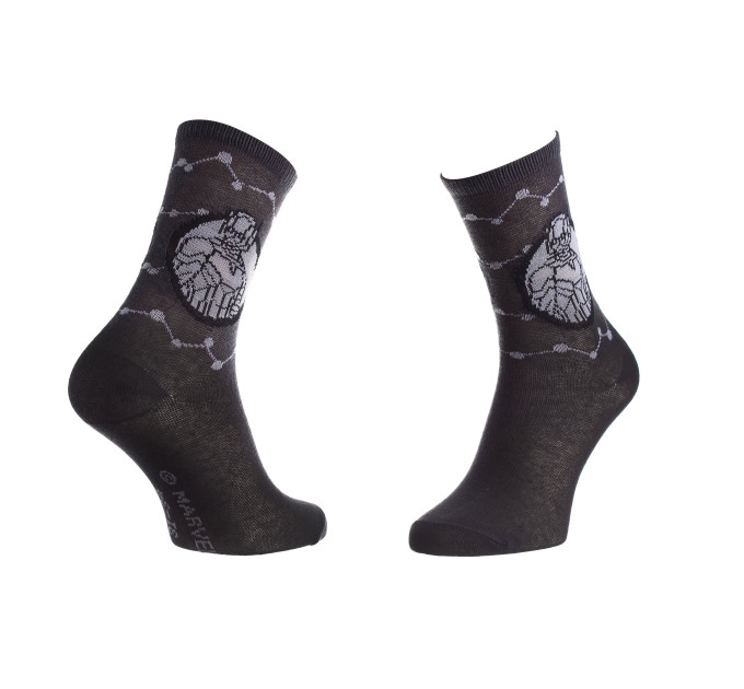 Шкарпетки Marvel Ant-Man Bust In Circle 31-34 gray 83895248-7