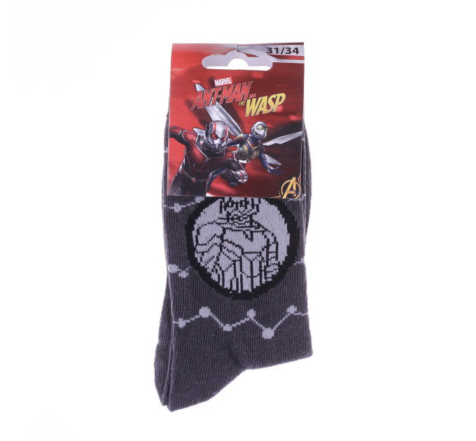 Шкарпетки Marvel Ant-Man Bust In Circle 31-34 gray 83895248-7