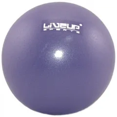 Мяч LiveUP MINI BALL фіолетовий 20см LS3225-20p Мяч LiveUP MINI BALL фіолетовий 20см LS3225-20p