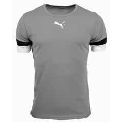 Футболка Puma teamRISE Jersey Jr сірий Діт 152 см 704938-13 152