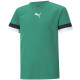 Футболка Puma teamRISE Jersey Jr зелений Діт 176 см 704938-05 176