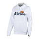 Жіноче Худі Ellesse Torices OH Hoody Білий L (7dSGS03244-908 L)