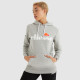 Жіноче Худі Ellesse Torices OH Hoody Сірий XL (7dSGS03244-112 XL)