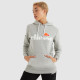 Жіноче Худі Ellesse Torices OH Hoody Сірий XS (7dSGS03244-112 XS)
