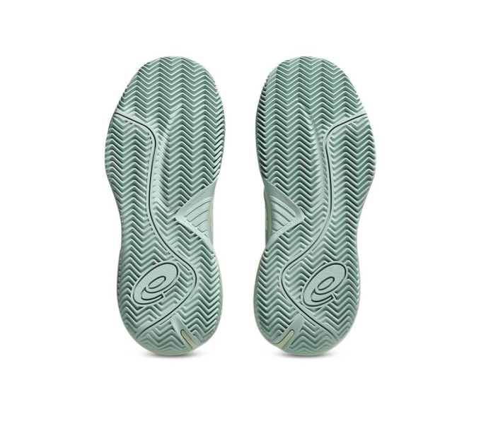 Жіночі кросівки Asics Gel-Challenge 15 clay Lichen Rock/White (36) 5.5 1042A293-300 36