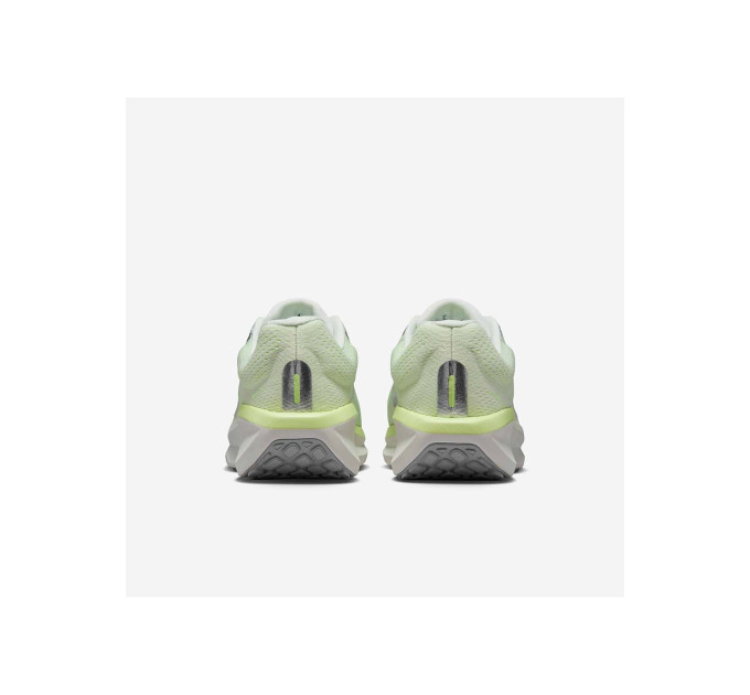 Жіночі Кросівки Nike WMNS AIR WINFLO 11 Зелений 39 (7dFJ9510-108 39)