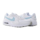 Жіночі Кросівки Nike AIR MAX SC Різнокольоровий 41 (CW4554-112)