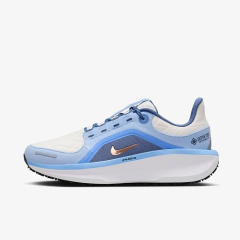 Жіночі Кросівки Nike W AIR WINFLO 11 GTX Різнокольоровий 35.5 (7dFQ1359-002 35.5)