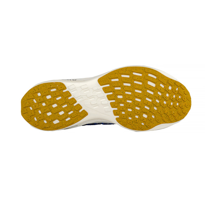 Жіночі Кросівки Nike PEGASUS TURBO NEXT NATURE Принт 41 (DM3414-002 41)