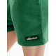 Жіночі Шорти Ellesse Shanni Short Зелений S (7dSGR17948-503 S)