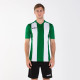 Футболка Joma PISA V Білий Зелений S (100403.450 S)