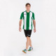 Футболка Joma PISA V Білий Зелений S (100403.450 S)