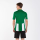 Футболка Joma PISA V Білий Зелений S (100403.450 S)