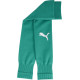 Гетри Puma teamGOAL Sleeve Sock зелений Чол 35-38 706028-05 35-38