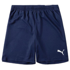 Шорти Puma teamRISE Short темно-синій Чол 3XL 704942-06 3XL