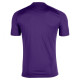 Футболка Joma TIGER фіолетовий S 100945.550 S