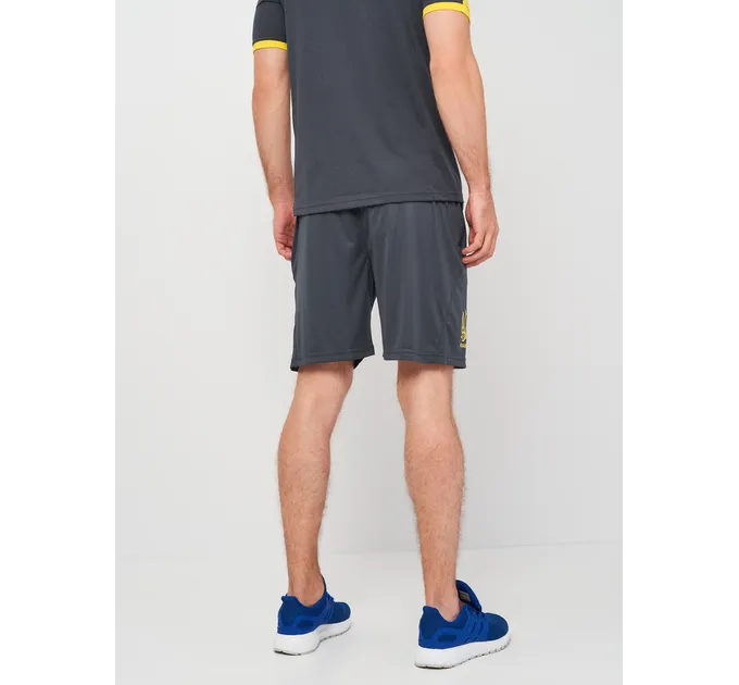 Шорти FED. FUTBOL UCRANIA Сірий M (AT102369B150)
