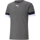 Футболка Puma teamRISE Jersey сірий Чол M 704932-13 M