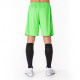 Шорти Joma NOBEL салатовий MEN L 100053.020 L