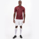 Чоловіча Футболка Joma TIGER Бордовий S (100945.671 S)