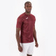 Чоловіча Футболка Joma TIGER Бордовий S (100945.671 S)
