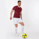 Футболка Joma TOLETUM II Бордовий M (101476.672 M)