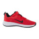 Дитячі Кросівки Nike REVOLUTION 6 NN (PSV) Червоний 29.5 (DD1095-607 29.5)