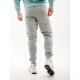 Чоловічі Штани Nike JOGGER BB Сірий S (7dFN0246-063 S)
