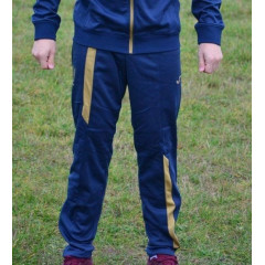Штани спортивні Joma UKRAINE синій 2XL (сезон 2018-2019) FFU210011.18 2XL