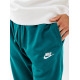Чоловічі Штани Nike CLUB JGGR FT Зелений 2XL (7dBV2679-381 2XL)