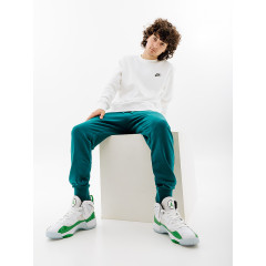 Чоловічі Штани Nike CLUB JGGR FT Зелений 2XL (7dBV2679-381 2XL)