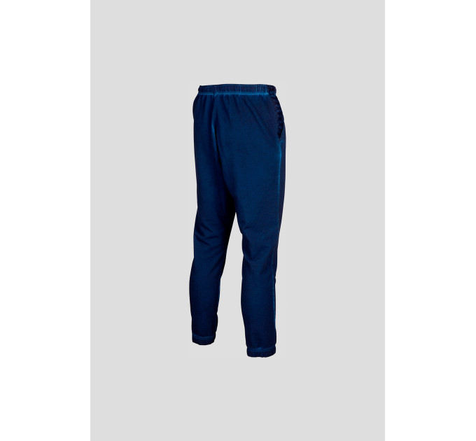 Чоловічі Штани Arena ICONS PANT Синій L (7d005607-700 L)