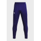 Спортивні штани Under Armour UA PIQUE TRACK PANT синій Чол MD 1366203-468 MD