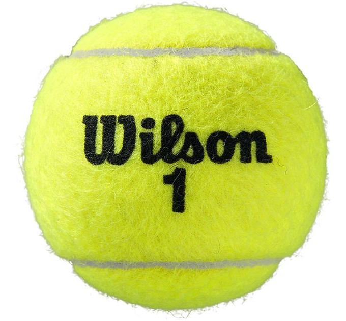 М'ячі для тенісу Wilson ROLAND GARROS ALL CT 4 BALL WRT116400