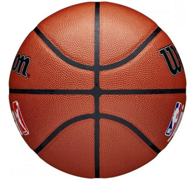 М'яч баскетбольний Wilson JR NBA FAM LOGO INDOOR OUTDOOR size 5 WZ2009801XB5