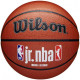 М'яч баскетбольний Wilson JR NBA FAM LOGO INDOOR OUTDOOR size 5 WZ2009801XB5