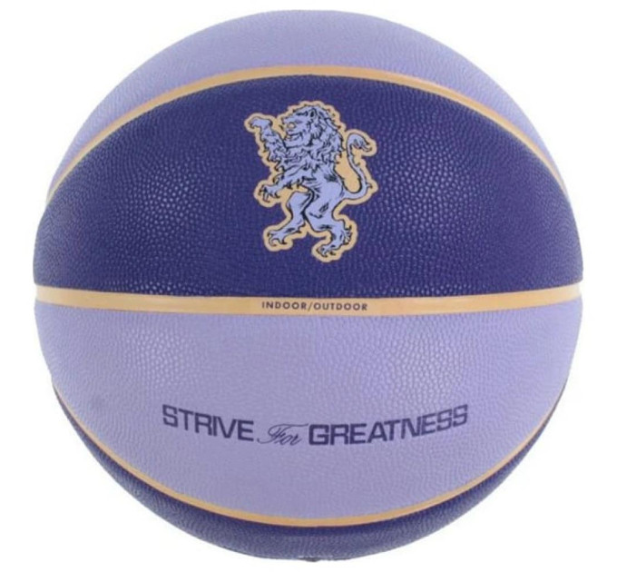 М'яч баскетбольний Nike ALL COURT 2.0 8P L JAMES DEFLATED Фіолетовий 7 (N.100.4368.509.07 7)